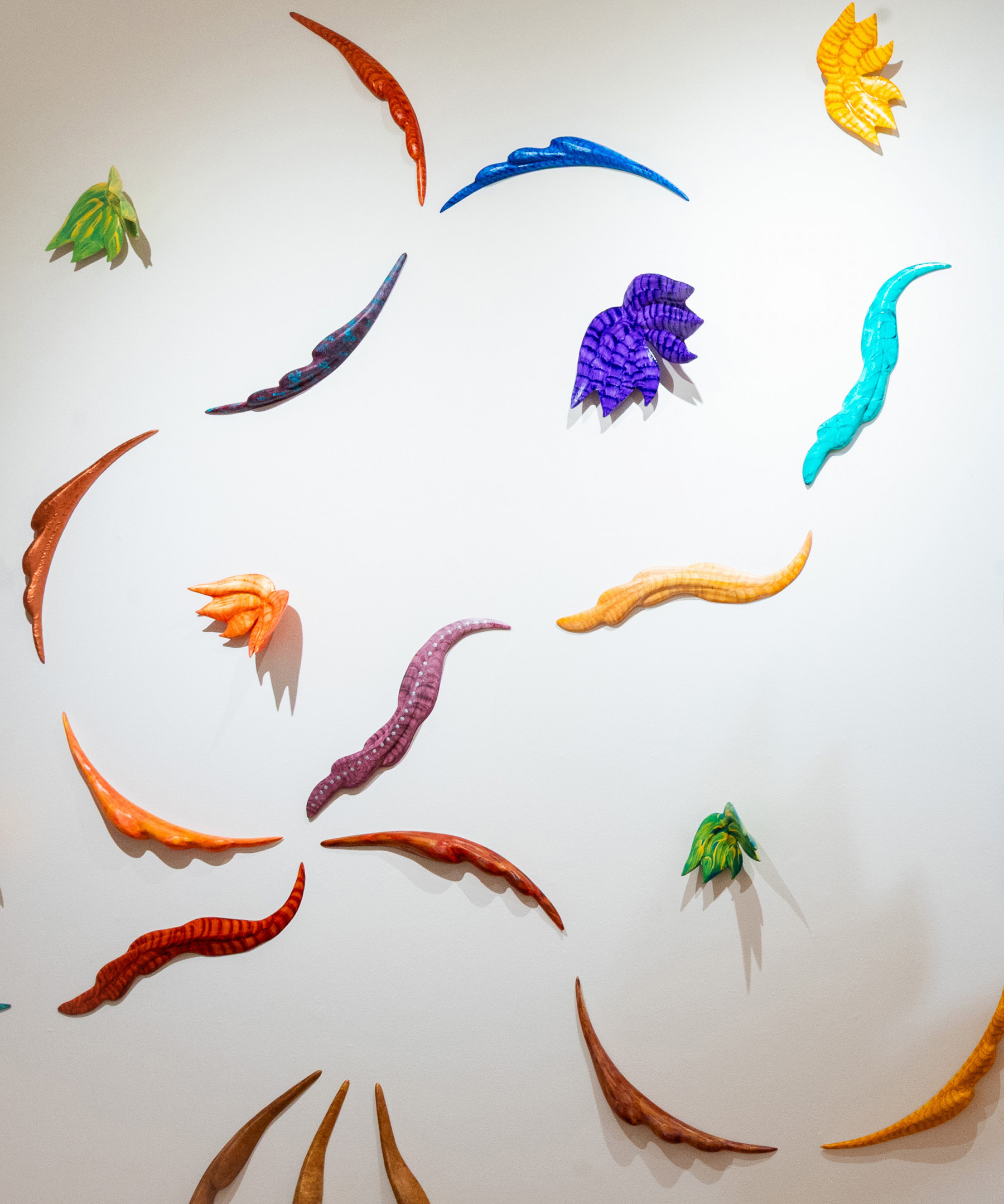 Upcoming Exhibitions